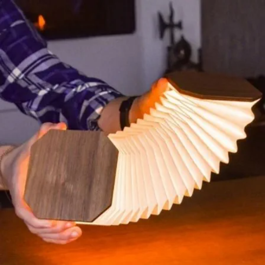 Picture of Smart Folding Light