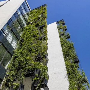 Picture of Green Facades and Planter Boxes
