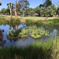 Picture of Floating Wetlands