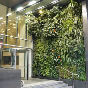 Picture of Green Walls