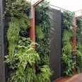 Picture of Green Walls