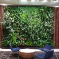 Picture of Green Walls
