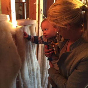 Picture of R13 Batt Insulation - 24" OC