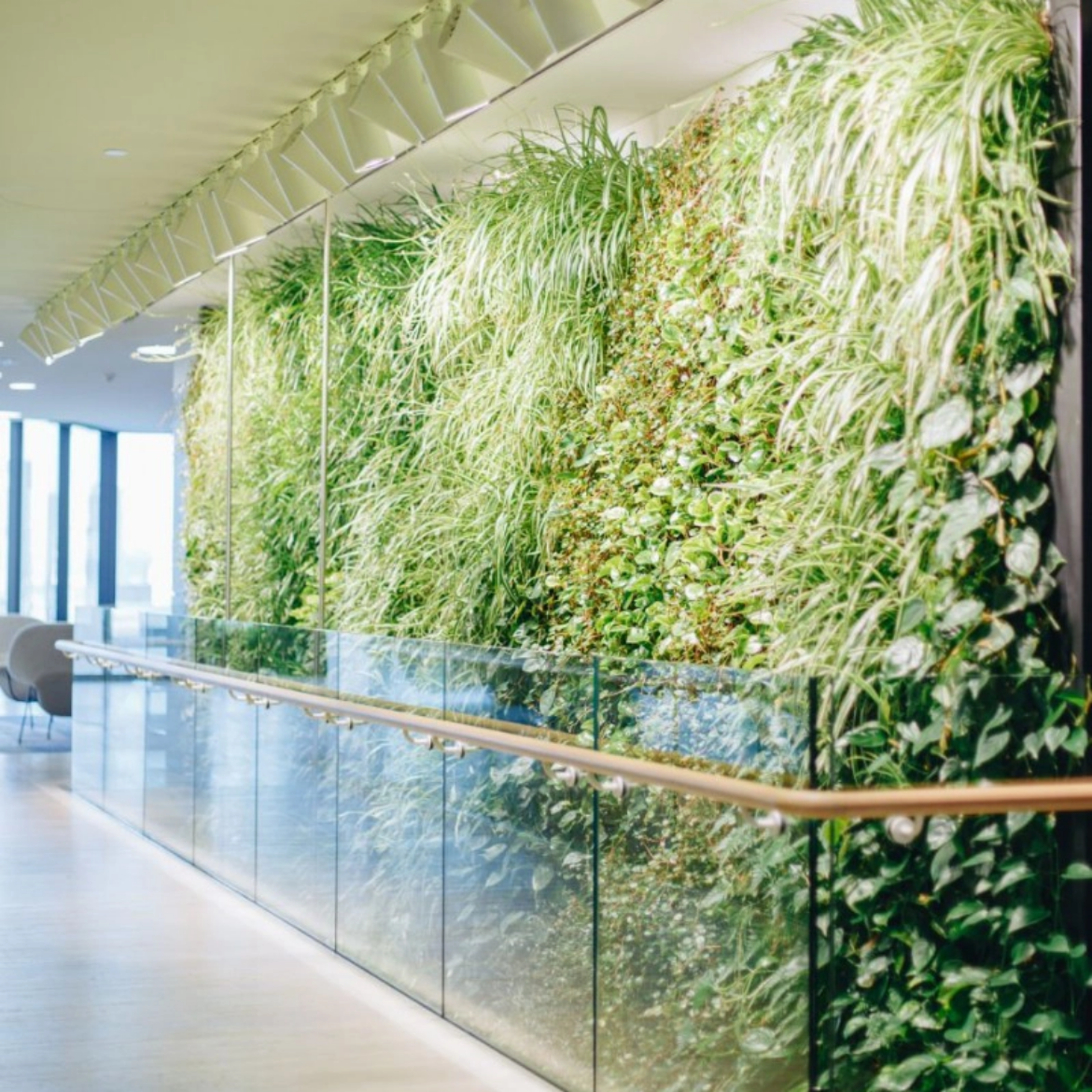 Junglefy - Lendlease Headquarters Project