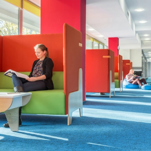 Picture of Partitions