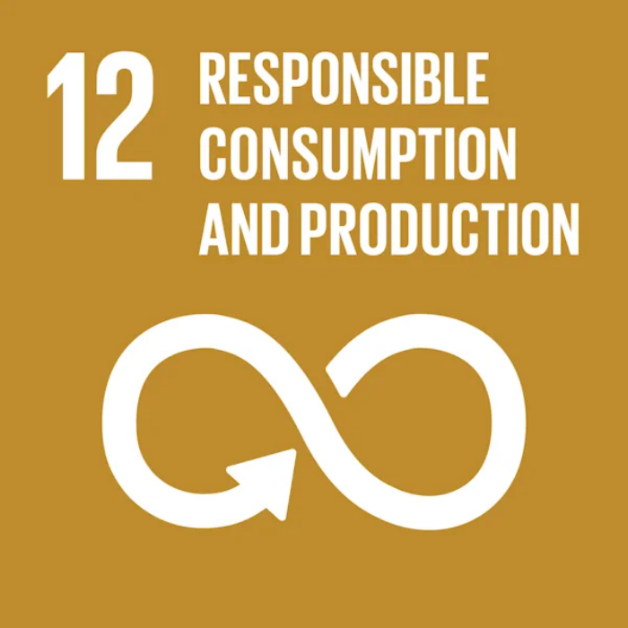 Picture of SDG 12