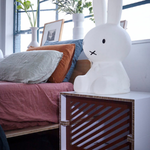 Picture of Furniture and Furnishings 