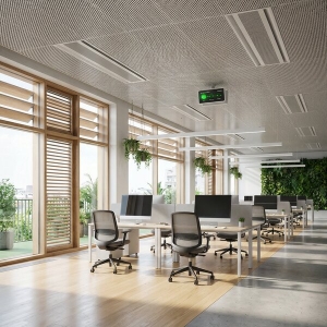 Picture of Air Plant